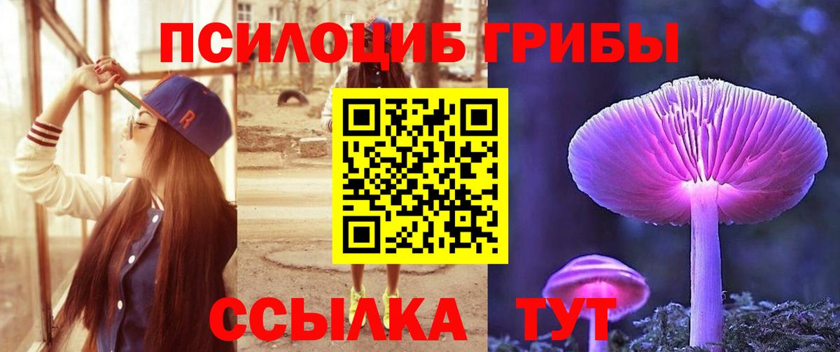 Псилоцибиновые грибы Psilocybine cubensis  Вход с VPN  купить закладку  Ипатово  Псилоцибиновые грибы GOLDEN TEACHER 