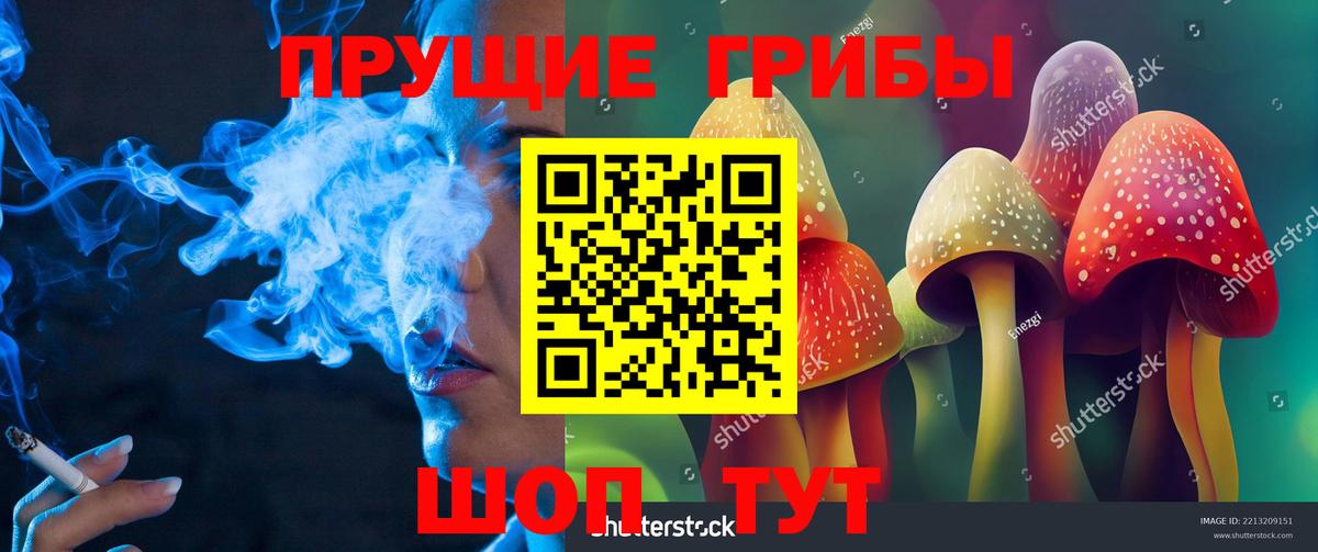 Псилоцибиновые грибы прущие грибы Ипатово